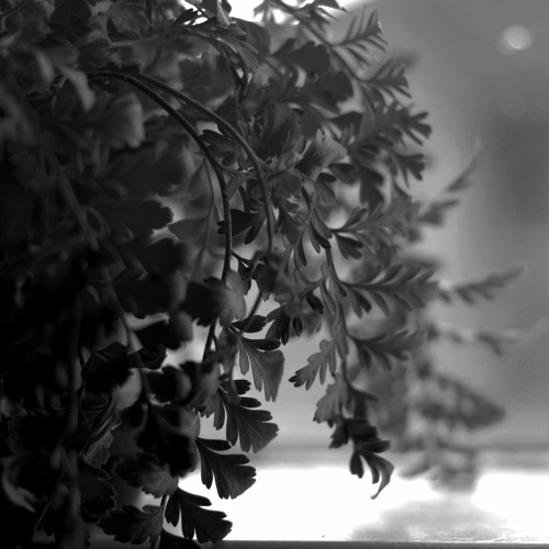 In the Deep (Original)