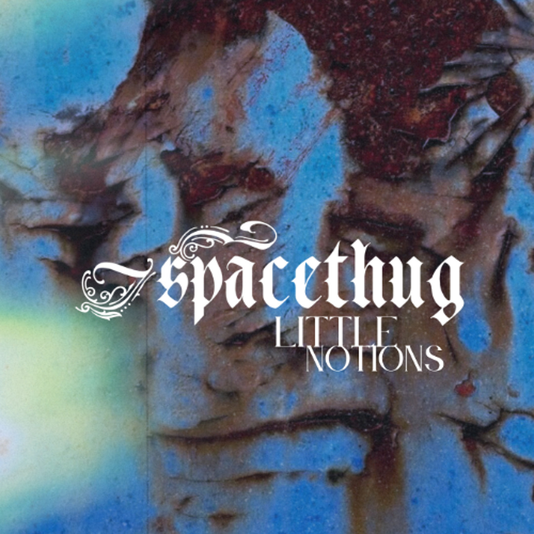 Stream Little Notions by Space Thug | Listen online for free on SoundCloud