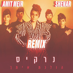 נרקיס - הולכת איתך (Amit Meir & Shenar Remix)