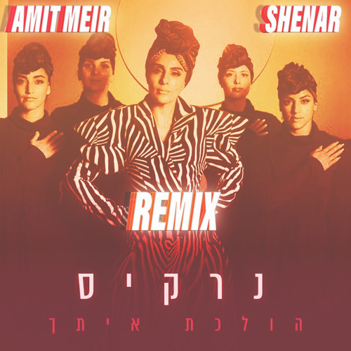 נרקיס - הולכת איתך (Amit Meir & Shenar Remix)