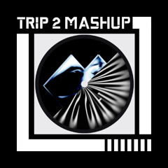 Hooligans x I Don't Trust A Soul - Steve Angello x Disco Lines , Ship Wrek (TRIP 2 MASHUP)
