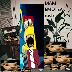 emotea - rosb (webcam)