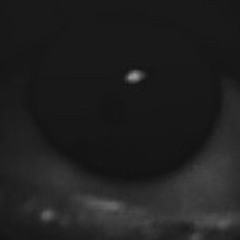 Need Me (Prod. IOF)