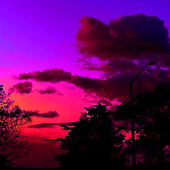 the end of all things (preview)