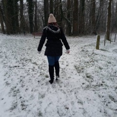 Dean Martin - Let It Snow c0ver