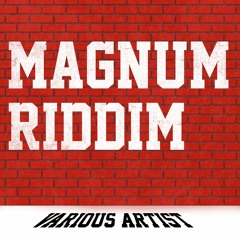 Magnum Riddim Mix (Patrice Roberts, Problem Child, Preedy & More !)(Soca 2023)