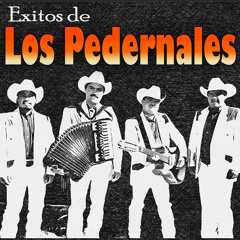 Stream Flor Morena by Los Pedernales | Listen online for free on SoundCloud