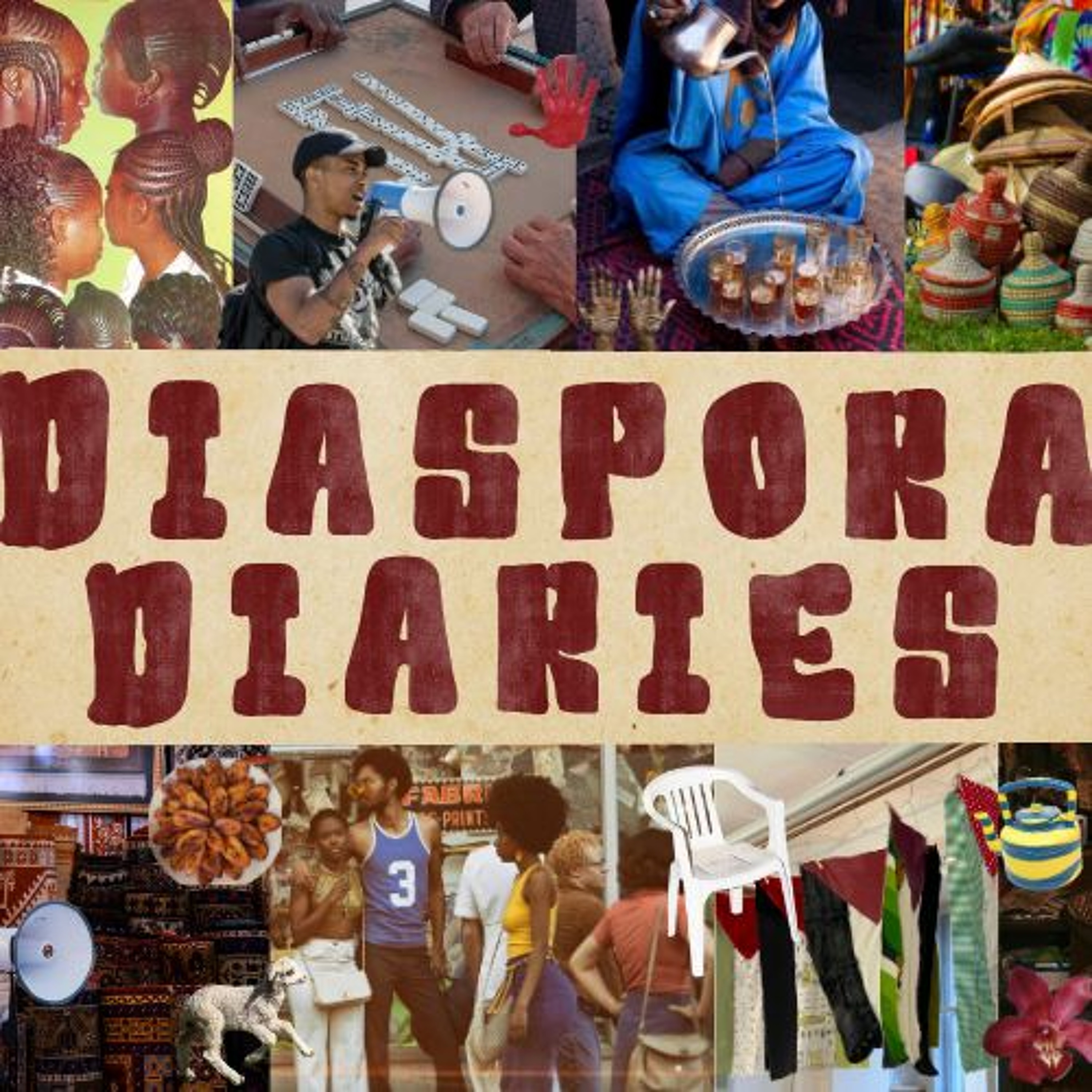 Introduction to Diaspora Diaries Season 2: An Alumni-led SPRC Project episode artwork