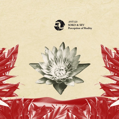 PREMIERE: Soko & Sev - Last Stand (Original Mix) [AnalyticTrail]