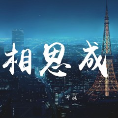 郑亦辰 - 相思成灾【動態歌詞/Lyrics Video】