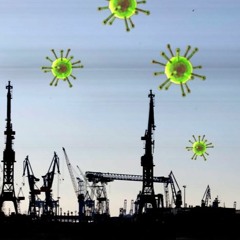 /coronavirus crisis/ ( 危机冠状病毒)