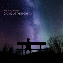 Gazing At The Night Sky