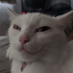 Runob - Espelho (LXRD MIX)