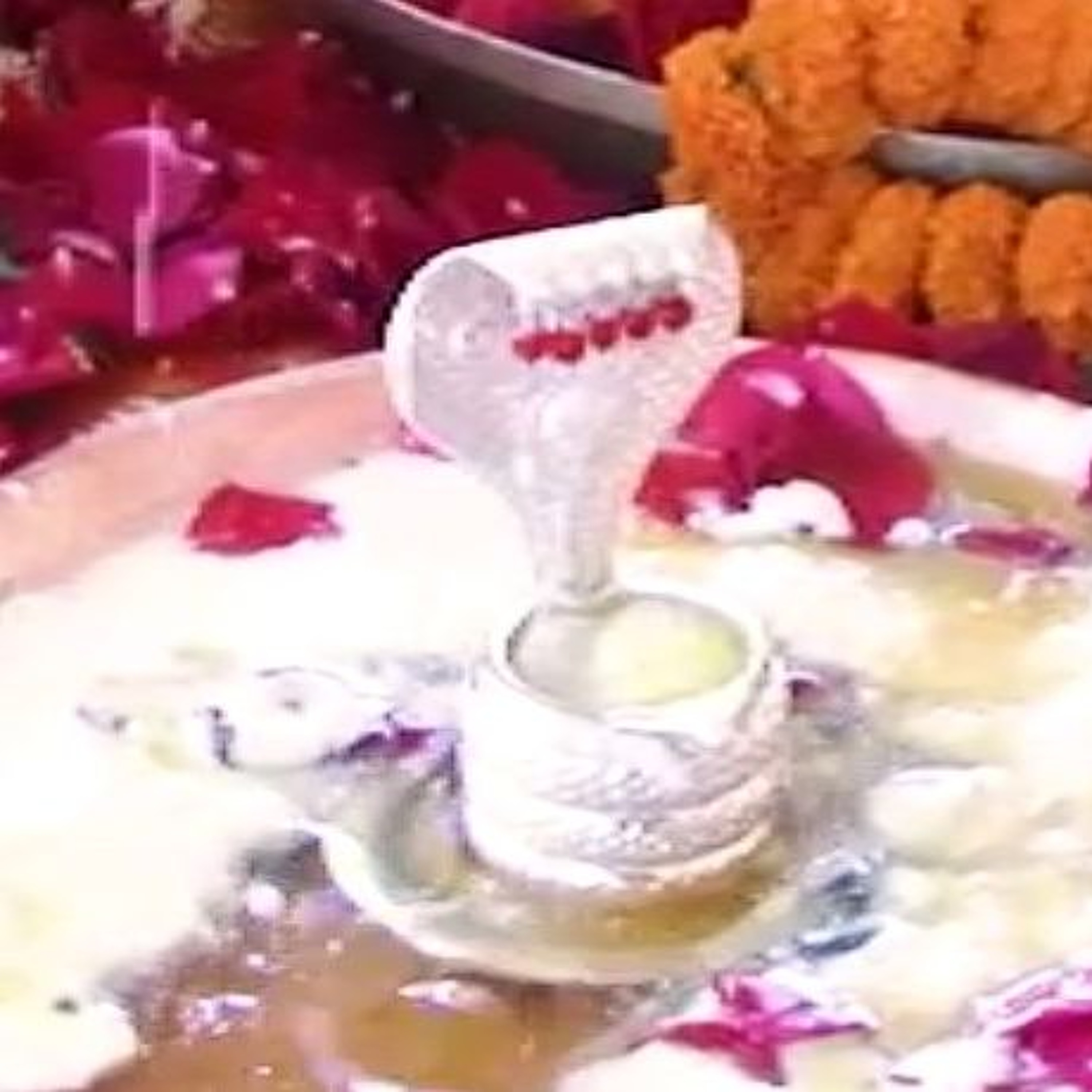 Ananta Śeṣa Pūjā || Śrī Māyāpur, India episode artwork