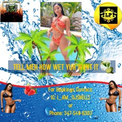 TELL MEH HOW WET YUH WANT IT (NO MIC)