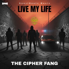 Live My Life