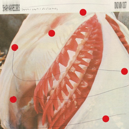 ONOMIX 007: Shari-Vari Records