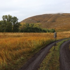 Valley Morning Ravens Duet Flying By Calls Rain Light River Distant BINAURAL