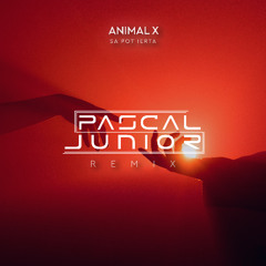 Sa Pot Ierta (Pascal Junior Remix) - [Extended Mix]