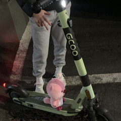 흩날리는 꽃잎아