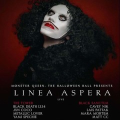 Mønster Queen's Halloween Ball // 26.10.24 // Acidwave - Trance - Body Music