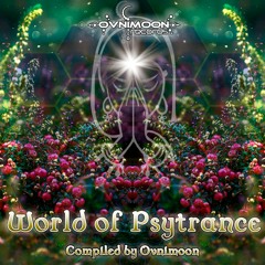 05 - Sirian, Ovnimoon - We Are Not Alone