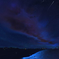 Night Hike w/ ForestxFire