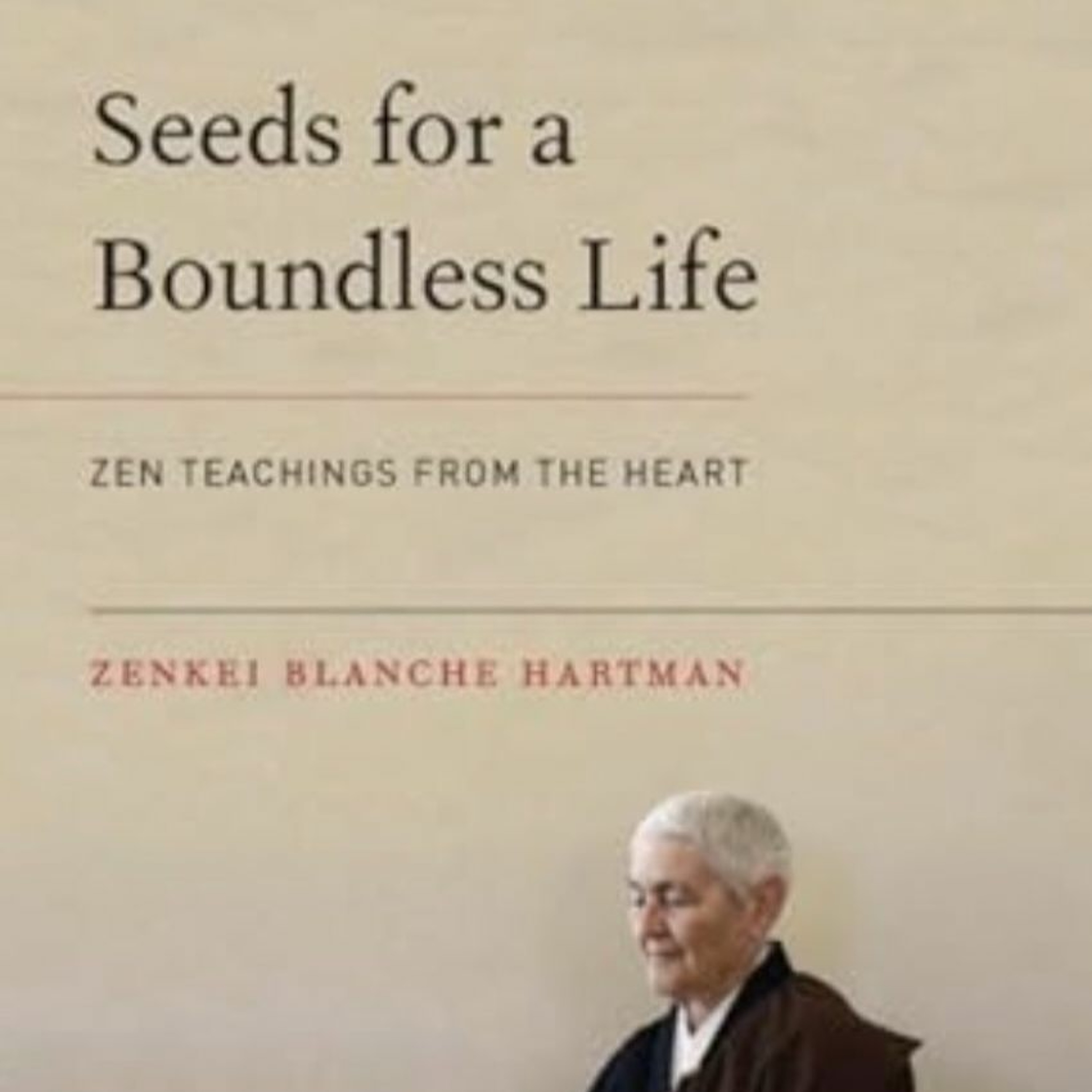 2023-11-19 | Dharma Talk | A Reading from 'Seeds for a Boundless Life' | with Ann Lipscomb episode artwork