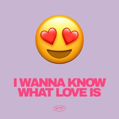 I Want To Know What Love Is (Extended Mix)