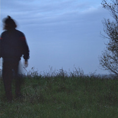 Wingless - Demo (2024).m4a