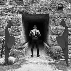 Visconteo Castle Live Streaming