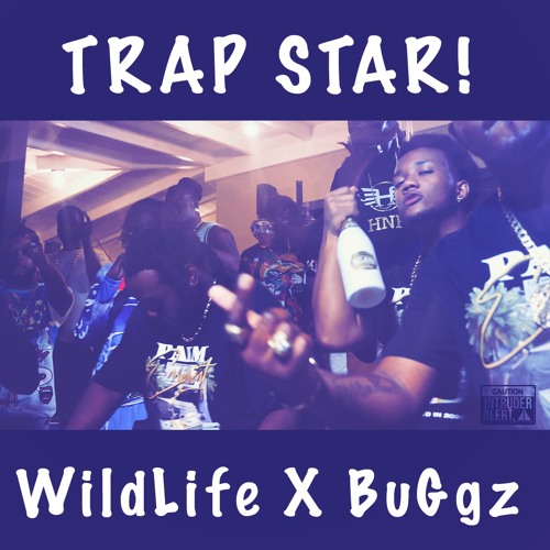 WildLife - TrapStar X BuGgz