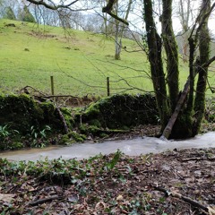 Shape Swap partner practice