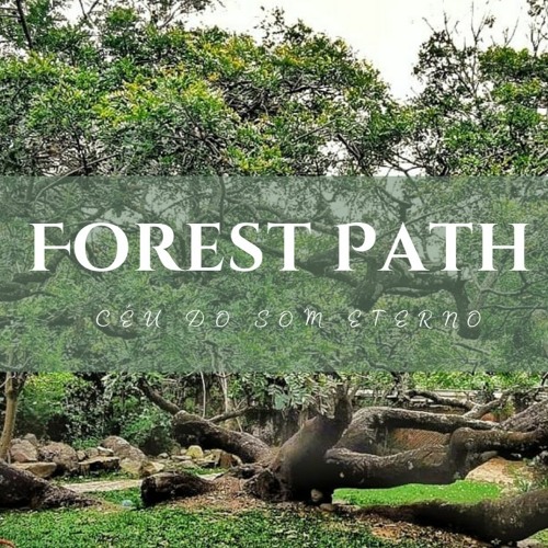 Alive and Awake | Forest Path #10