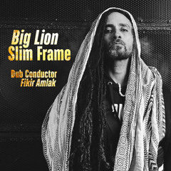 Big Lion Slim Frame