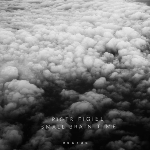 [PREMIERE] | Piotr Figiel - Human Utopia Experiment [RWETES008]