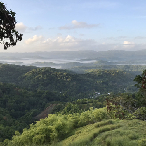 lamia - mask on (mask off chill remix)