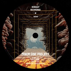 *PREMIERE* Minor Sine Project - Absolute Unit (Komartsov Remix)