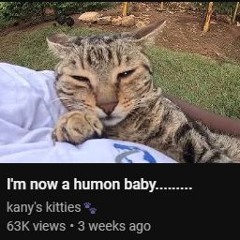 yume 2kki ost - botanical garden (xsau sleepier edit)