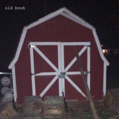 Old Book - All I Need