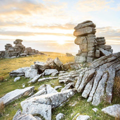 COSMIC DREAM CLUB - Dartmoor
