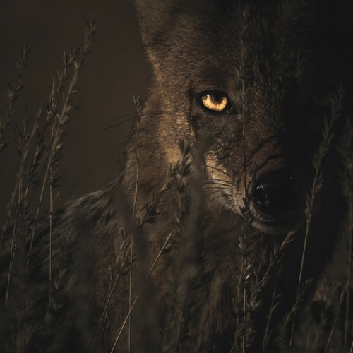 Douce Brise mix for Unsung Heroes.WAV
