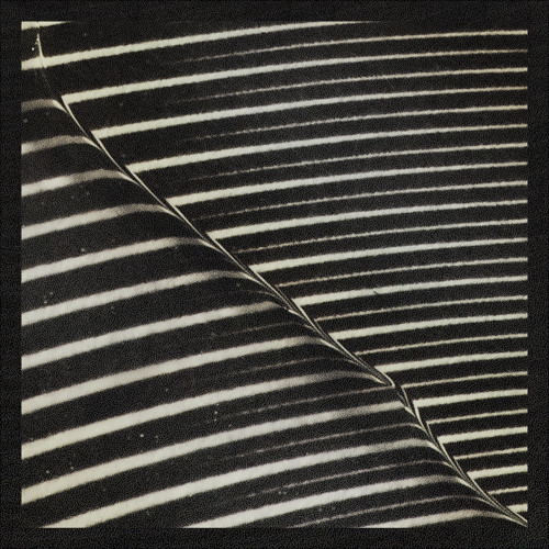 Jams, Grooves & Psychedelic Beats - Playlists