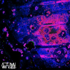 QWAZDYN - That Night (free dl)