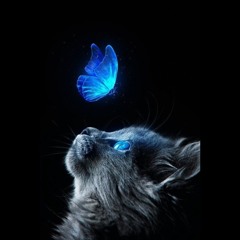 Blue Blue - Part 2 Track! (feat. Ty Lab & Hudson431