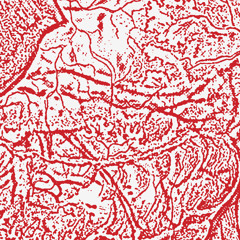 Materializing Defective Fascia/ 48
