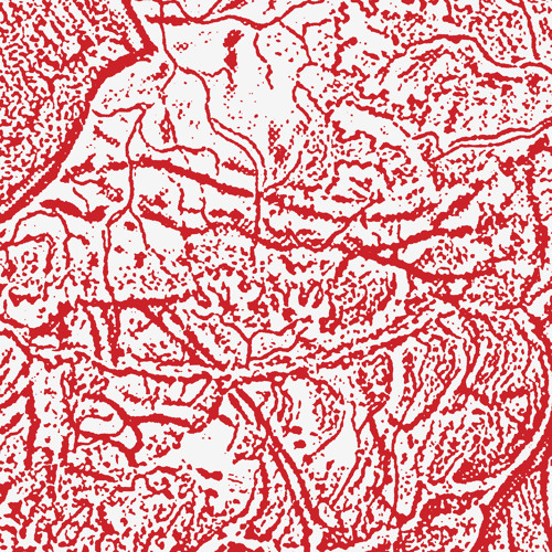 Materializing Defective Fascia/ 48