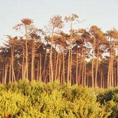 massage für die seele