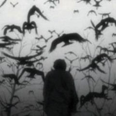 Me and The Birds