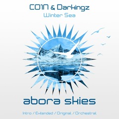 CO1N & Darkingz - Winter Sea (Intro Mix)